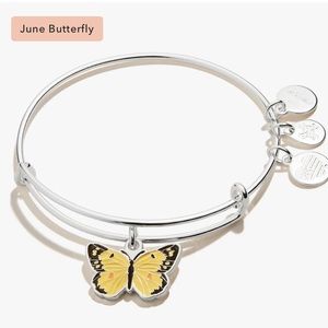 Alex And Ani June Orange Sulfur Butterfly